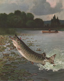 Lynn Bogue Hunt Fishing prints 1946 Field & Stream Portfolio
